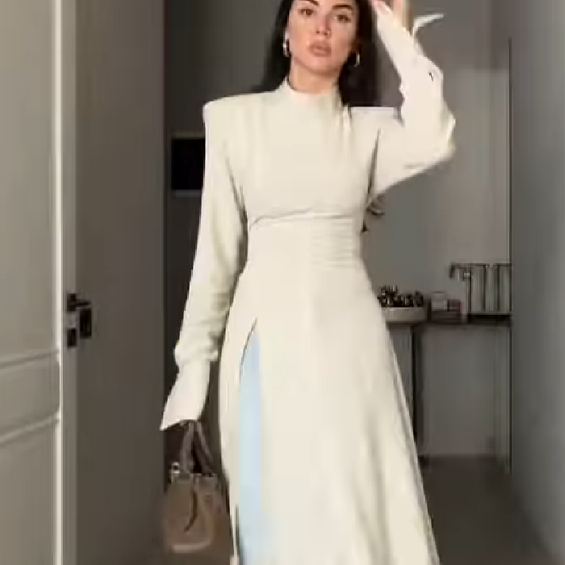 Women's Elegant High Neck Long - Women Formal Wear Office avis et prix